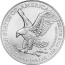 USA 2024 - American Eagle Ag999 1 oz BU