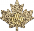 Canada 2024 - Maple Leaf Au999.9 1oz