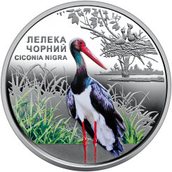 Ukraine 2024 - Chornobyl. Revival. The Black Stork 16.5 g