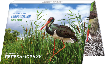 Ukraine 2024 - Chornobyl. Revival. The Black Stork 16.5 g