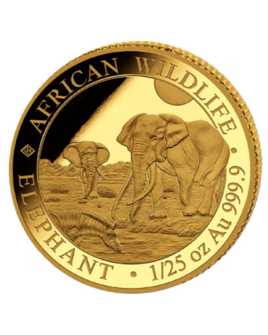 Somalia 2026 -African Wildlife- Elefant Au999.9 1/25 oz