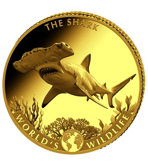 Congo 2026 - Shark World´s Wildlife Au999.9 0,5g Proof