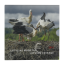 Latvia 2015 BU set Stork