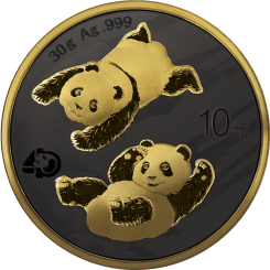 China 2022 - Panda Ag999 30 g Golden Night