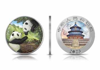 Four Elements: China 2023 - Panda Ag999 30g Earth